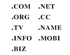 .COM.NET.ORG.CC.TV.NAME.INFO.MOBI.BIZ